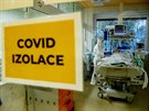 Ve zl�nsk� nemocnici uvolnili posledn� m�sta pro pacienty pozitivn� na covid-19.
