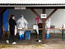 Na Slovensku zaalo ploné testování na koronavirus. (31. íjna 2020)