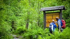 Bavorský les nabízí adu moností lesní turistiky.