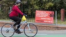 Na Novém Zélandu lidé v referendu hlasovali o legalizaci eutanazie či rekreační...