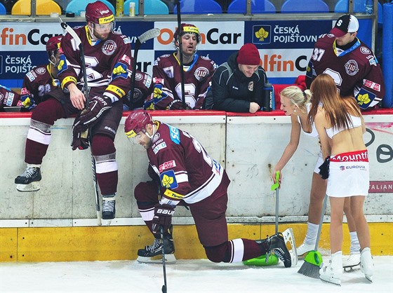 ICEGIRLS. Manaei extraligových klub sondují, jaký personál musí projít testy. Budou to i populární díví úklidové ety?