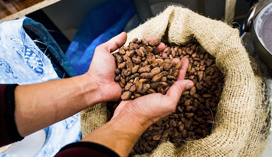 Kakaov boby objednvaj v Chocolate Hill napklad v Peru a Tanzanii, kde maj...