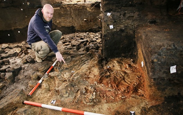 V jedné místnosti pod beclavským zámkem odhalili archeologové z brnnské...