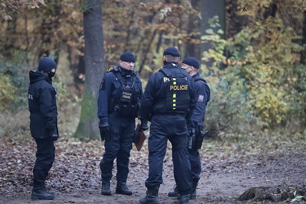 Pátrání po zmizelé en pivedlo policii do praské obory Hvzda. (9. listopadu...