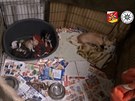 Policisté s veterinái odvezli z domku asi 70 ps