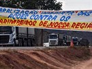 Protesty proti postihm nelegálních ta zlata v brazilském stát Para. (14....