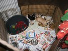 Policie a veterinái nalezli v rodinném dom na Královéhradecku mnoho ps (26....