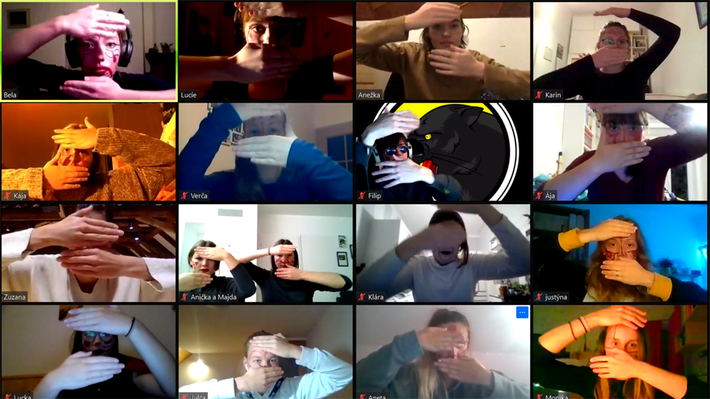 Volní jako ptáci. Národní nabízí představení formou videokonference