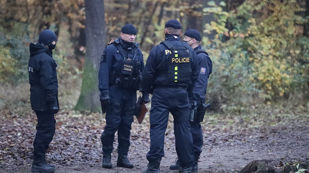 Pátrání po zmizelé ženě přivedlo policii do pražské obory Hvězda. (9. listopadu...