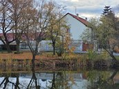 Fotografie po��zen� smartphonem Samsung Galaxy S20 FE