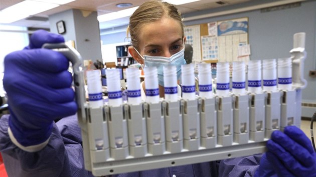 Zdravotnice dr sadu zkumavek s vzorky k testovn na covid-19 v laboratoi v Chicagu. (31. jna 2020)