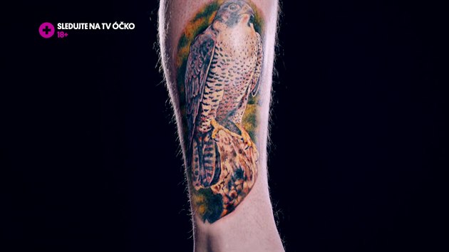Sokol je výrazným a impozantním tetováním.