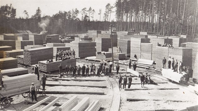 V lese Roudni nad rybnkem Dvka u Hamr nad Szavou vznikla v roce 1931 parn pila, kde se kalamitn devo rovnou zpracovvalo. Prci zde nalo v dob hospodsk krize i mnoho mstnch mu.