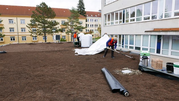 Pprava zelen stechy na poliklinice ve ru nad Szavou.