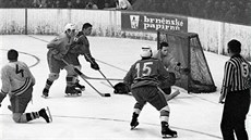 Richard Farda (íslo 11) v utkání proti Jihlav. íslo 15 má Josef erný.