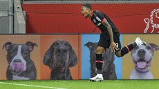 Leon Bailey z Leverkusenu oslavuje sv�j gól.