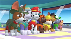 Paw Patrol: Mighty Pups Save Adventure Bay (Switch)