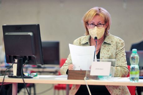 Oga Haláková (KDU-SL) je kandidátkou na post hejtmanky.