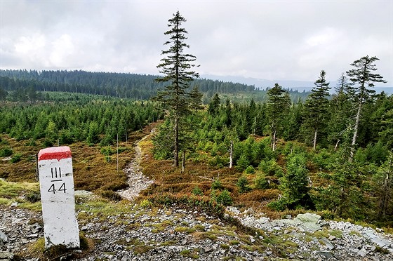 Vrch Brousek (1 115 m) na česko-polské hranici