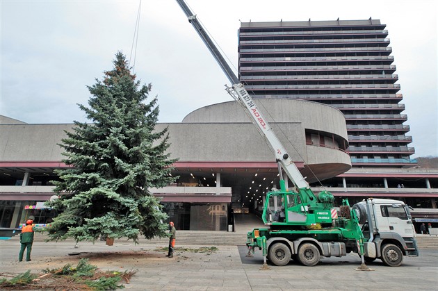 Letoní karlovarský vánoní strom ped hotelem Thermal je ticet let starý a...