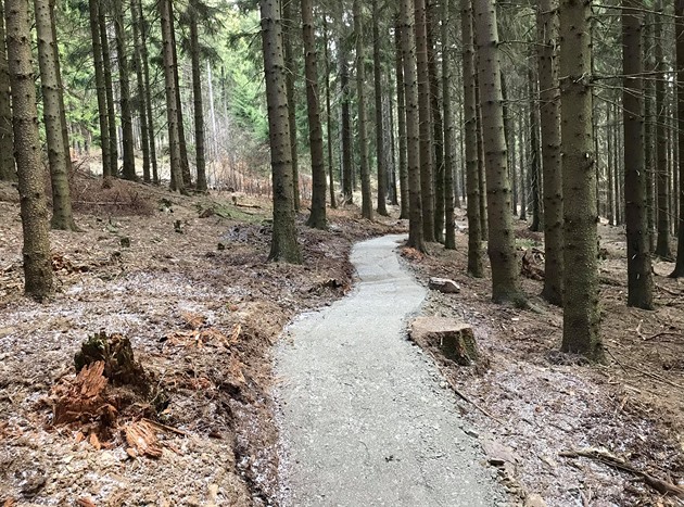 Nová sí singletrack vzniká v okolí Suchého vrchu v Orlických horách. Hotovo...