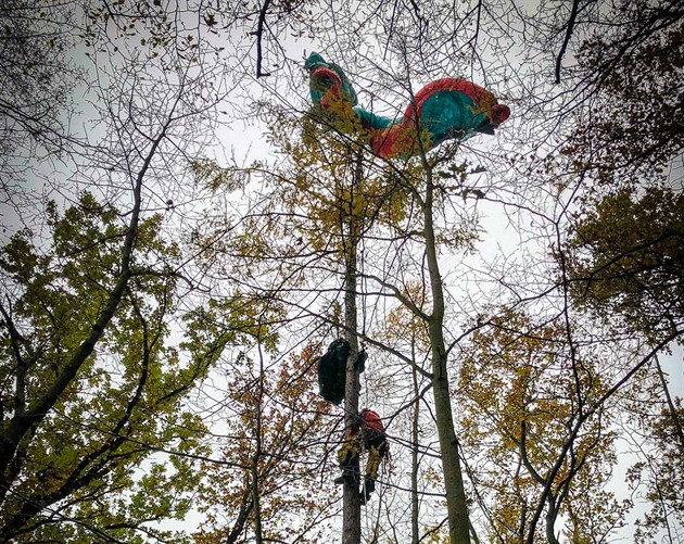 Hasii v Odrách zachraovali paraglidistu z vysokého stromu, zstal zamotaný v...