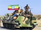 Etiopská armáda zahájila ofenzivu proti vzpurnému regionu Tigraj na severu...