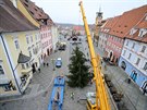 Stav�n� v�no�n�ho stromu na n�m�st� Kr�le Ji��ho v Chebu. (11. listopadu 2020)