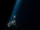 Za své fotografie z volného potápní získal letos Victor de Valles Ibanez jednu...