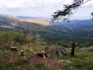 Mezi vrchem Koníek a sedlem Hraniky (Przelecz Gieraltowska) bylo výhled...