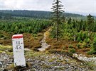 Vrch Brousek (1 115 m) na esko-polské hranici