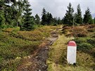 Hraniní prsek pod vrchem Smrk (1 127 m), nejvyí kótou Rychlebských hor