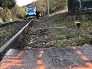 Vlak se s osobnm autem srazil na pejezdu u obce Hskov.  (16. listopadu 2020)