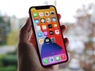 iPhone 12 mini