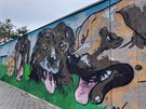Venkovn� st�nu u parkovi�t� �tulku M�stsk� policie Brno zdob� malba t�� ps� a...
