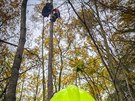 Hasii v Odrch zachraovali paraglidistu z vysokho stromu, zstal zamotan v...