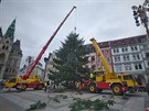 Liberec V�no�n� stromek p�ed libereckou radnic� u� �ek� na ozdoben�. B�hem...