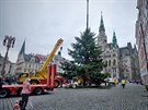Liberec Vánoní stromek ped libereckou radnicí u eká na ozdobení. Bhem...