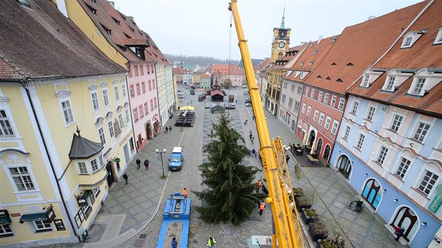 Stavění vánočního stromu na náměstí Krále Jiřího v Chebu. (11. listopadu 2020)