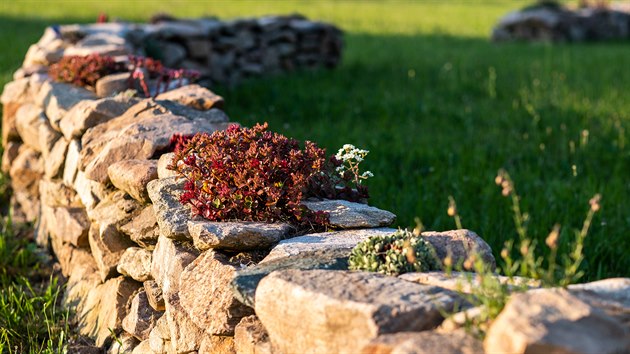 V symbióze. Spáry mezi kameny skládanými na sucho jsou ideálním místem pro zasázení různých rostlin, zejména těch, které nepotřebují moc vody.