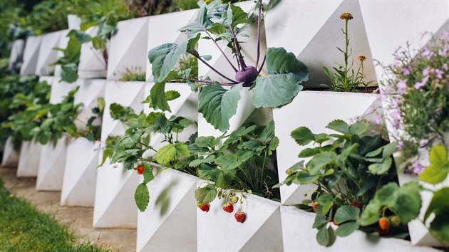 Domácí sklizeň. Z betonových tvarovek poskládáte zeleninovou či ovocnou zahrádku na výšku. Trojúhelníkový tvar chrání spodní květináče a brání vysychání půdy v nich.
