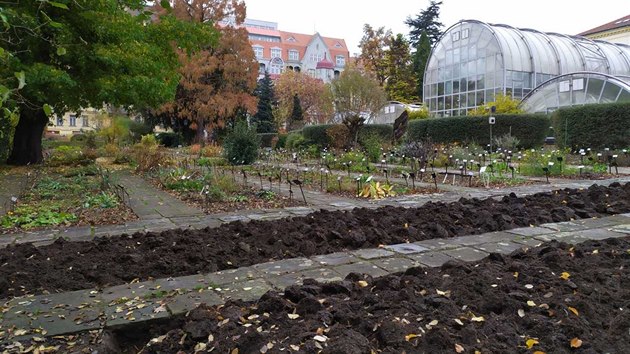 V botanick zahrad ekalo na pracovnky pekvapen, pi ryt narazili na lane.