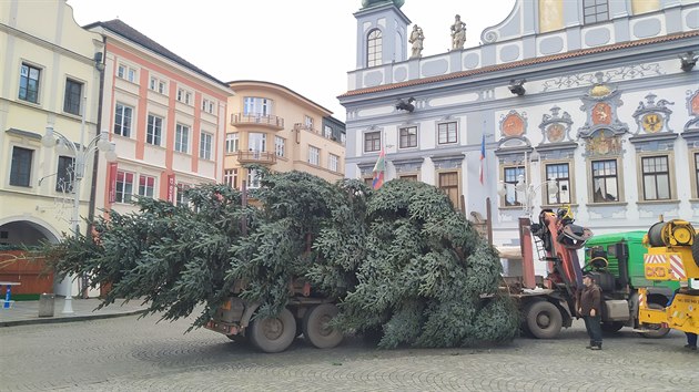 Vánoční strom stojí tradičně před českobudějovickou radnicí.