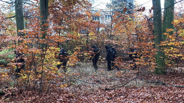 V úterý odpoledne se policisté vrátili do obory Hvězda. Prohledávali okolí, kde nalezli tělo. (10. listopadu 2020)