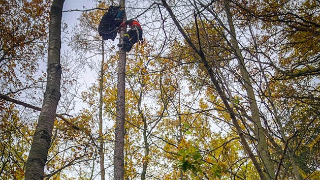 Hasii v Odrch zachraovali paraglidistu z vysokho stromu, zstal zamotan v provazech. (14. listopadu 2020)