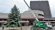 Letoní karlovarský vánoní strom ped hotelem Thermal je ticet let starý a...