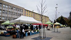 Dlá�d�né nám�stí�ko m��e být platan�m javorolistým ji� brzy malé.