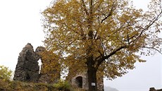 Hrad Egerberk stojí na Černém vrchu u Klášterce nad Ohří.