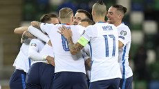 Fotbalisté Slovenska se radují z gólu v zápase se Severním Irskem.