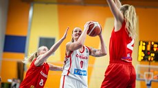 eská basketbalistka Renáta Bezinová se s míem tlaí k dánskému koi.